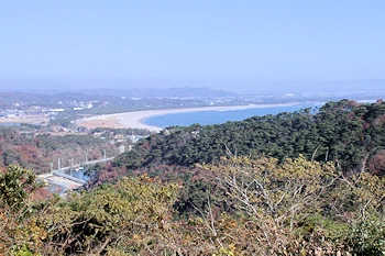 野蒜海岸が見えるの風景