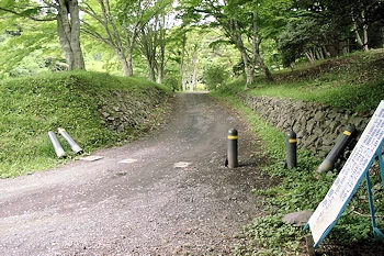 歩道の風景