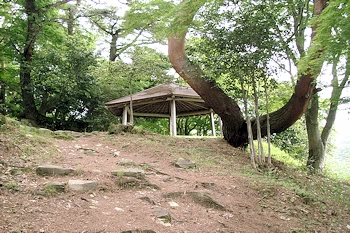 扇谷の展望台が見えるの風景