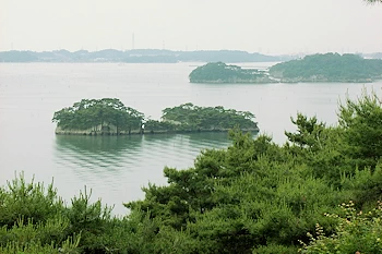 富山観音（松島四大観）の画像