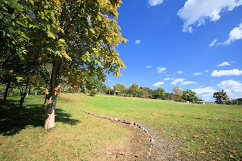 山前遺跡の画像