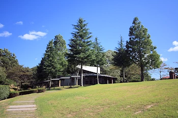 昭和万葉の森の画像