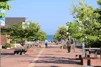 道の駅女川の画像