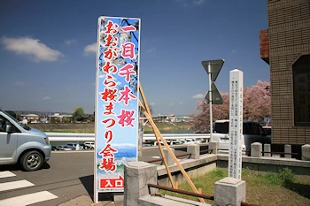 船岡城址公園の風景