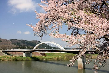 船岡城址公園の風景