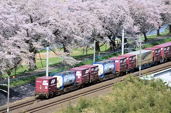 船岡城址公園の風景
