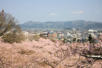 船岡城址公園の風景