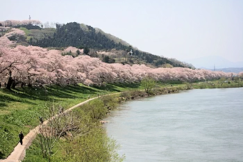 船岡城址公園の風景