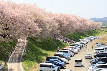 船岡城址公園の風景