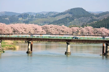 船岡城址公園の風景