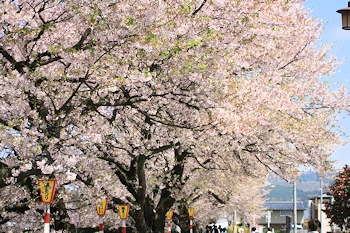 船岡城址公園の風景