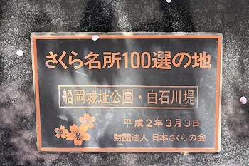 船岡城址公園の風景