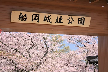 船岡城址公園の風景