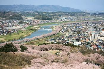船岡城址公園の風景