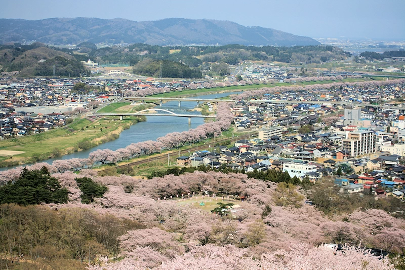 船岡城址公園の風景