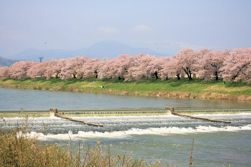 船岡城址公園の風景
