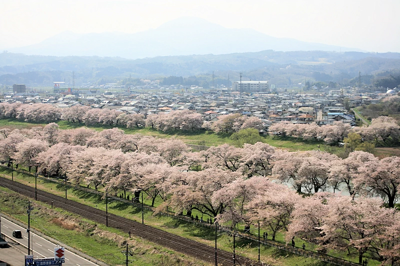 船岡城址公園の風景