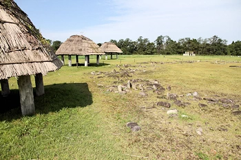 大湯環状列石の画像
