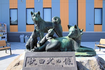 秋田犬の像の画像