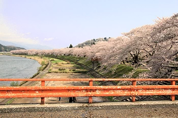 桧木内川の画像