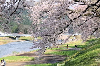桧木内川堤・武家屋敷の風景
