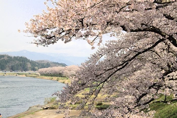 桧木内川堤・武家屋敷の風景
