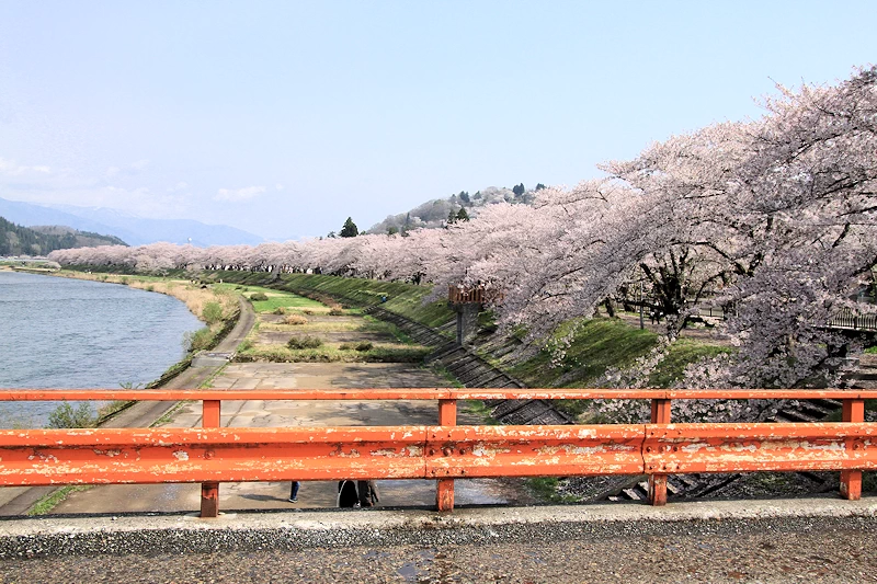 桧木内川堤・武家屋敷の風景