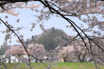 桧木内川堤・武家屋敷の風景