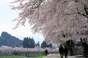 桧木内川堤・武家屋敷の風景