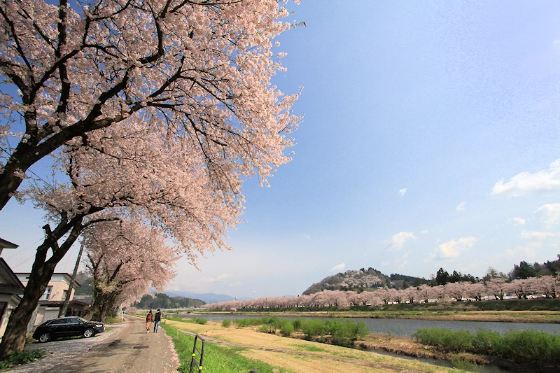 桧木内川堤・武家屋敷の風景