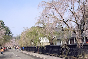 桧木内川堤・武家屋敷の風景