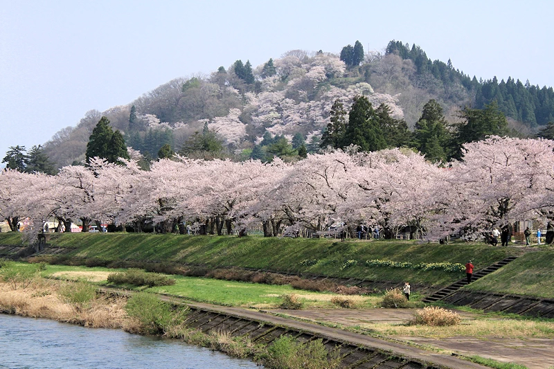 桧木内川堤・武家屋敷の風景