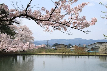 真人公園の風景