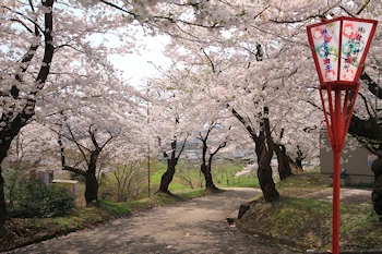 真人公園の風景