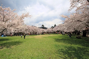 真人公園の風景