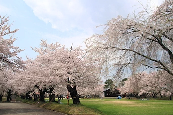 真人公園の風景