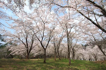 真人公園の風景