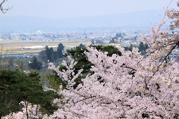 真人公園の風景