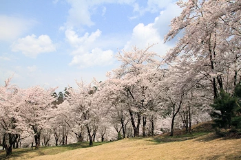 真人公園の風景