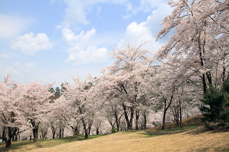 真人公園の風景