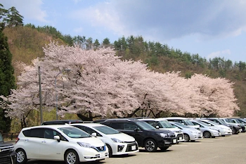 真人公園の風景