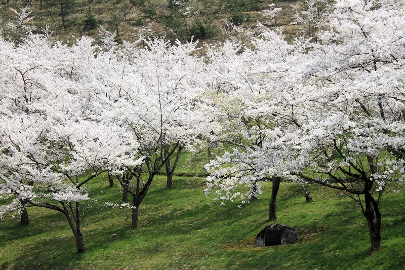 真人公園の風景