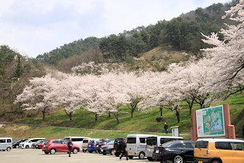 真人公園の風景