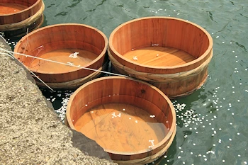 真人公園の風景