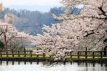 真人公園の風景