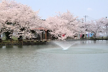 真人公園の風景