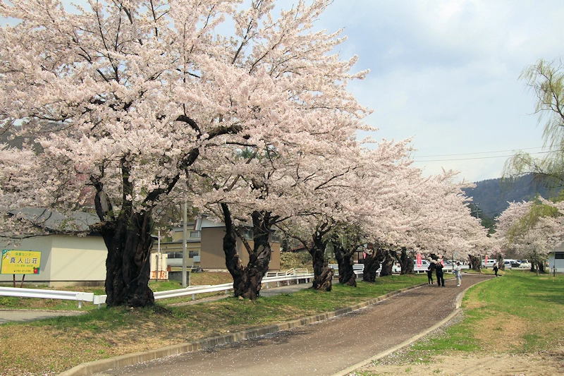 真人公園の風景