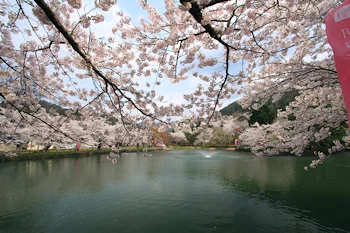 真人公園の風景