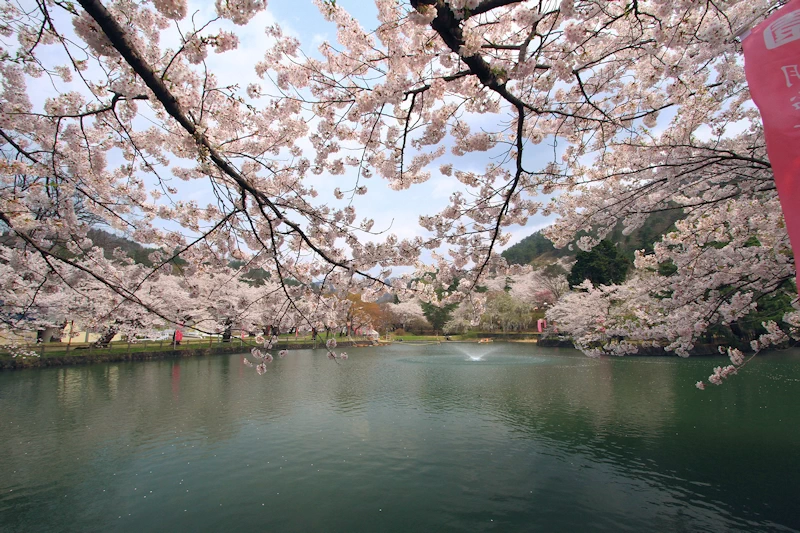 真人公園の風景
