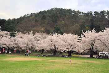 真人公園の風景